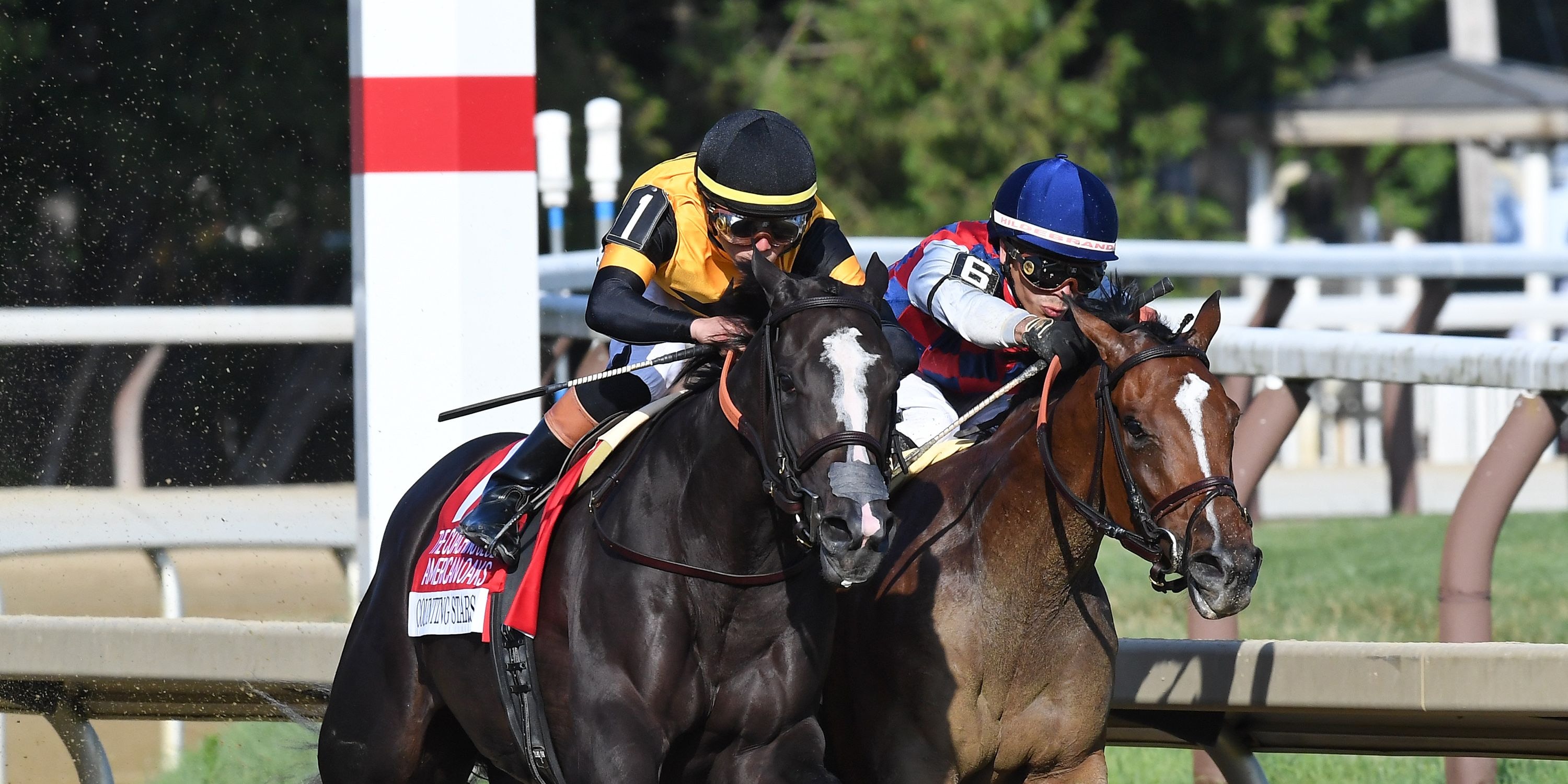 Counting Stars wins the Coaching Club American Oaks at Saratoga.