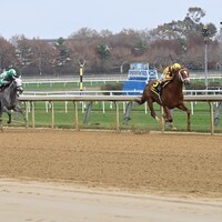 #6 Courting wins with #3 Grittiness second and #5 Stream It third at Aqueduct.