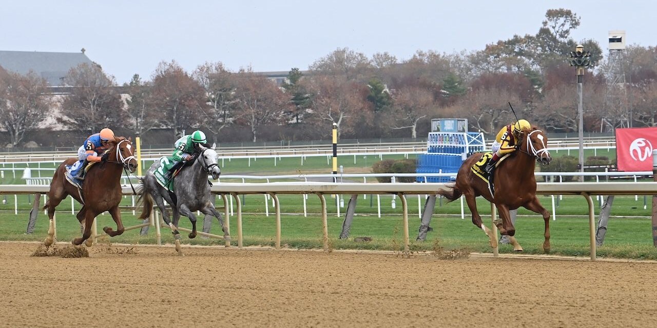 #6 Courting wins with #3 Grittiness second and #5 Stream It third at Aqueduct.
