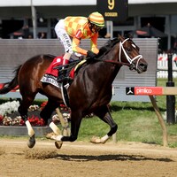 Crudo wins the Sir Barton Stakes at Pimlico (Horsephotots.com)