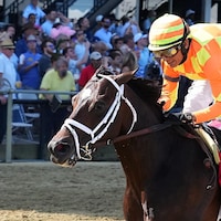 Crudo dominated his stakes and two-turn debut in the Sir Barton S.