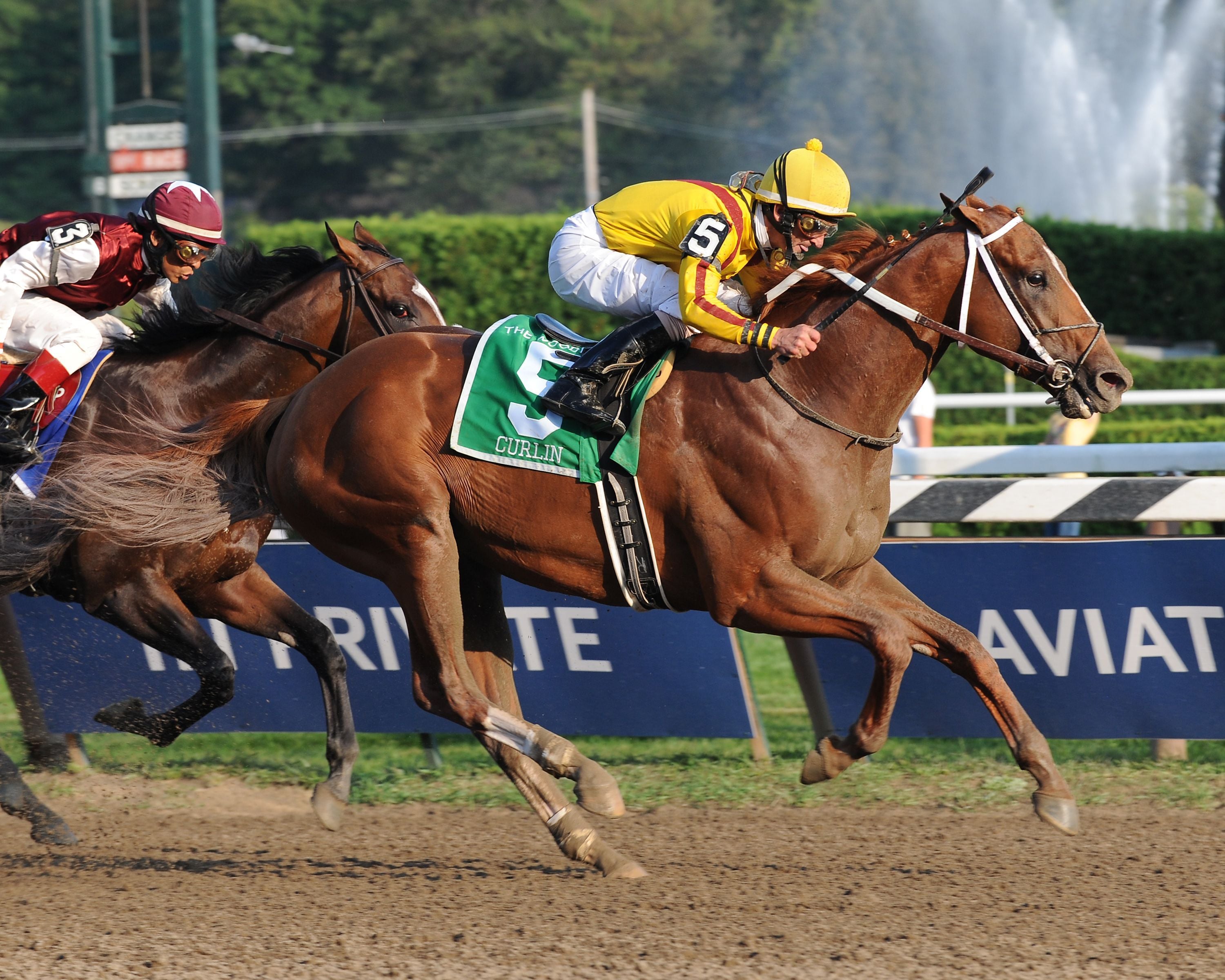 Curlin winning the 2008 Woodward (G1) at Saratoga