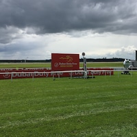Scenic view of the Curragh on the ancient plains of Kildare