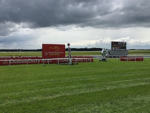 Scenic view of the Curragh on the ancient plains of Kildare