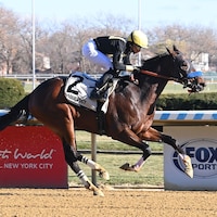 Cyclone State wins at Aqueduct.