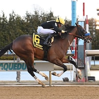 Cyclone State winning the Jerome S. at Aqueduct. (Photo by Coglianese Photos)