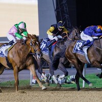 Dark Saffron wins the 2025 Dubai Golden Shaheen (G1) at Meydan