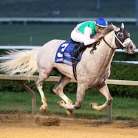 Dragoon Guard wins the West Virginia Derby