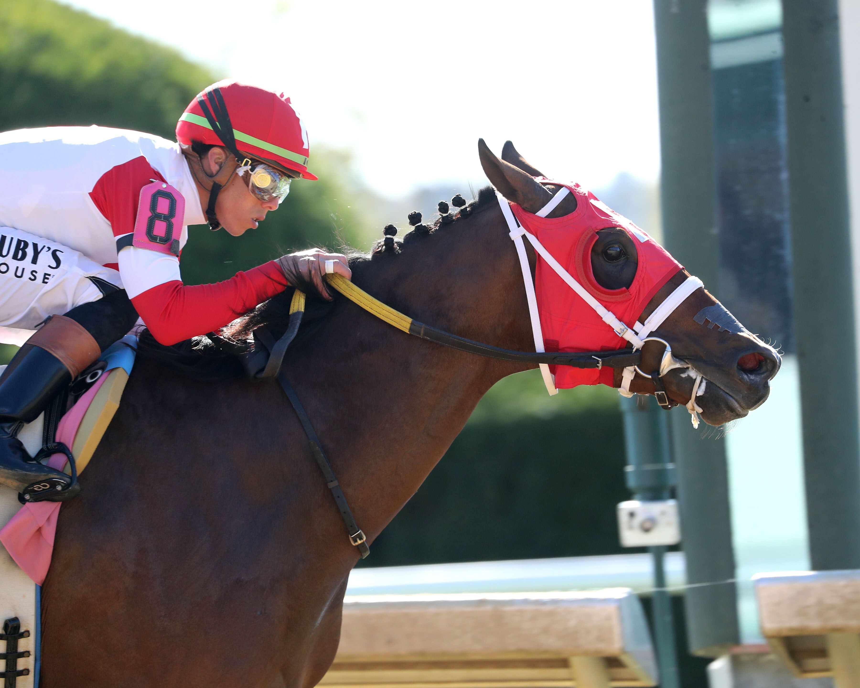 Dr. Kapur wins at Keeneland.