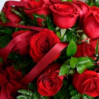 Garland of Roses for the Kentucky Derby winner