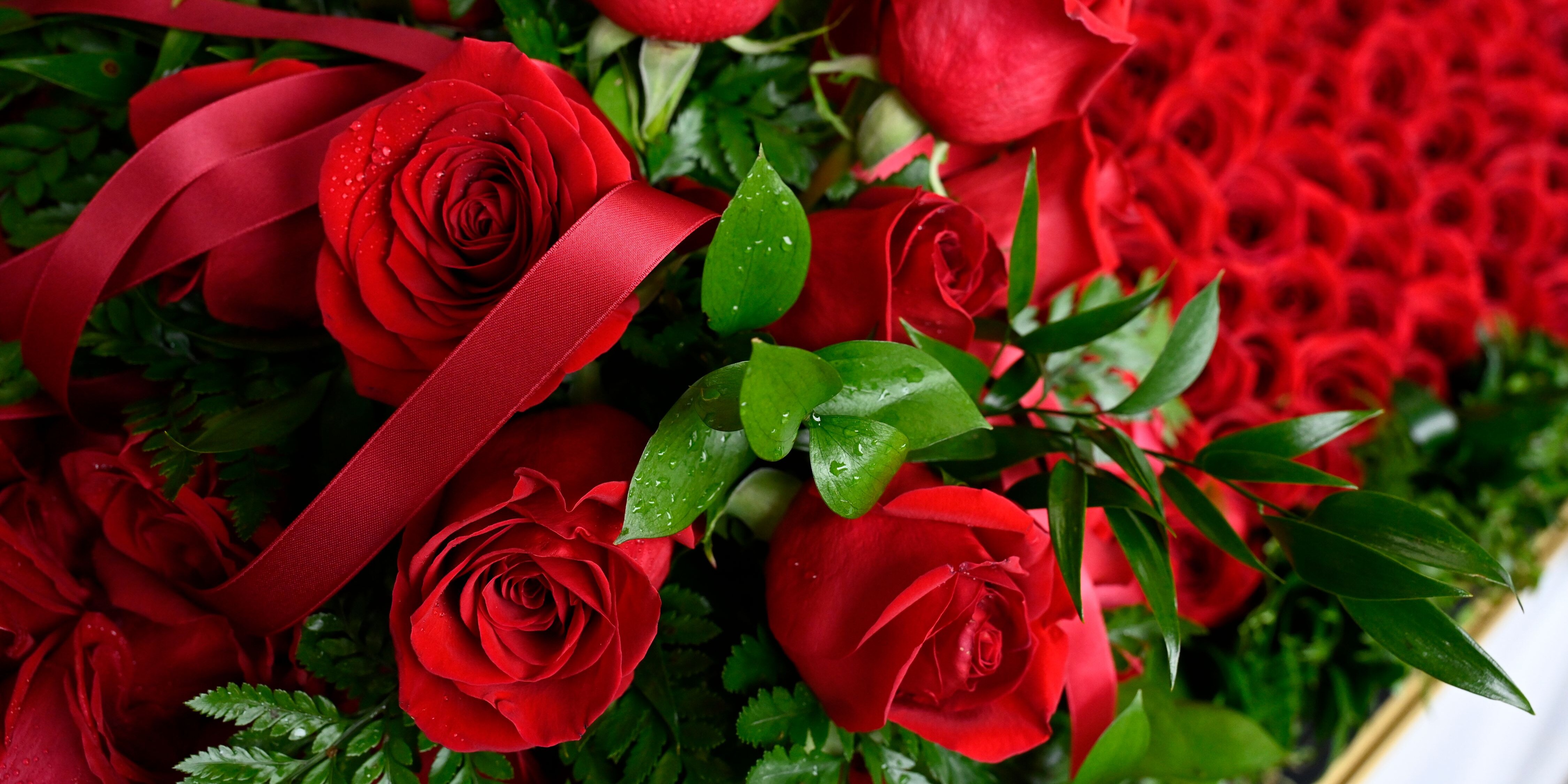 Garland of Roses for the Kentucky Derby winner