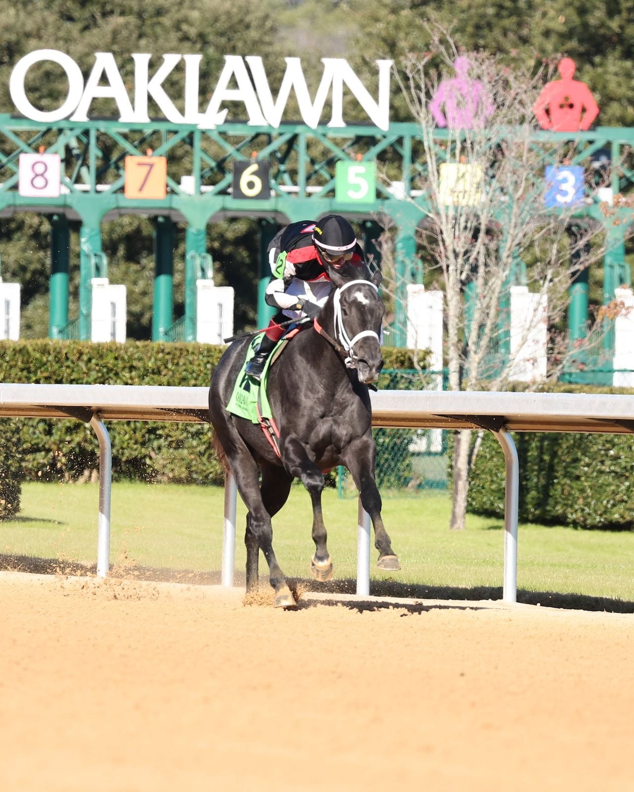 D'Code wins at Oaklawn Park.