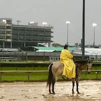 Hall of Fame trainer D. Wayne Lukas at Churchill Downs (Photo by Horsephotos.com)