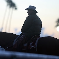 Hall of Fame trainer D. Wayne Lukas (Horsephotos.com)