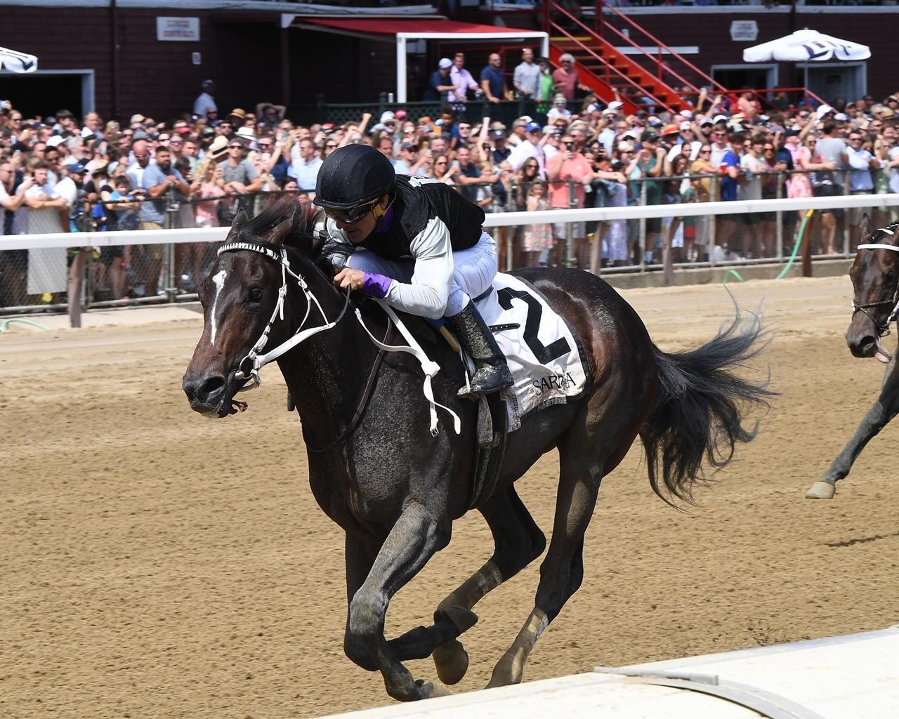 Damon's Mound wins the Saratoga Special