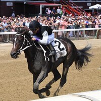 Damon's Mound wins the Saratoga Special