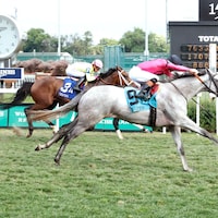 Dancing N Dixie wins the Tepin at Churchill Downs.