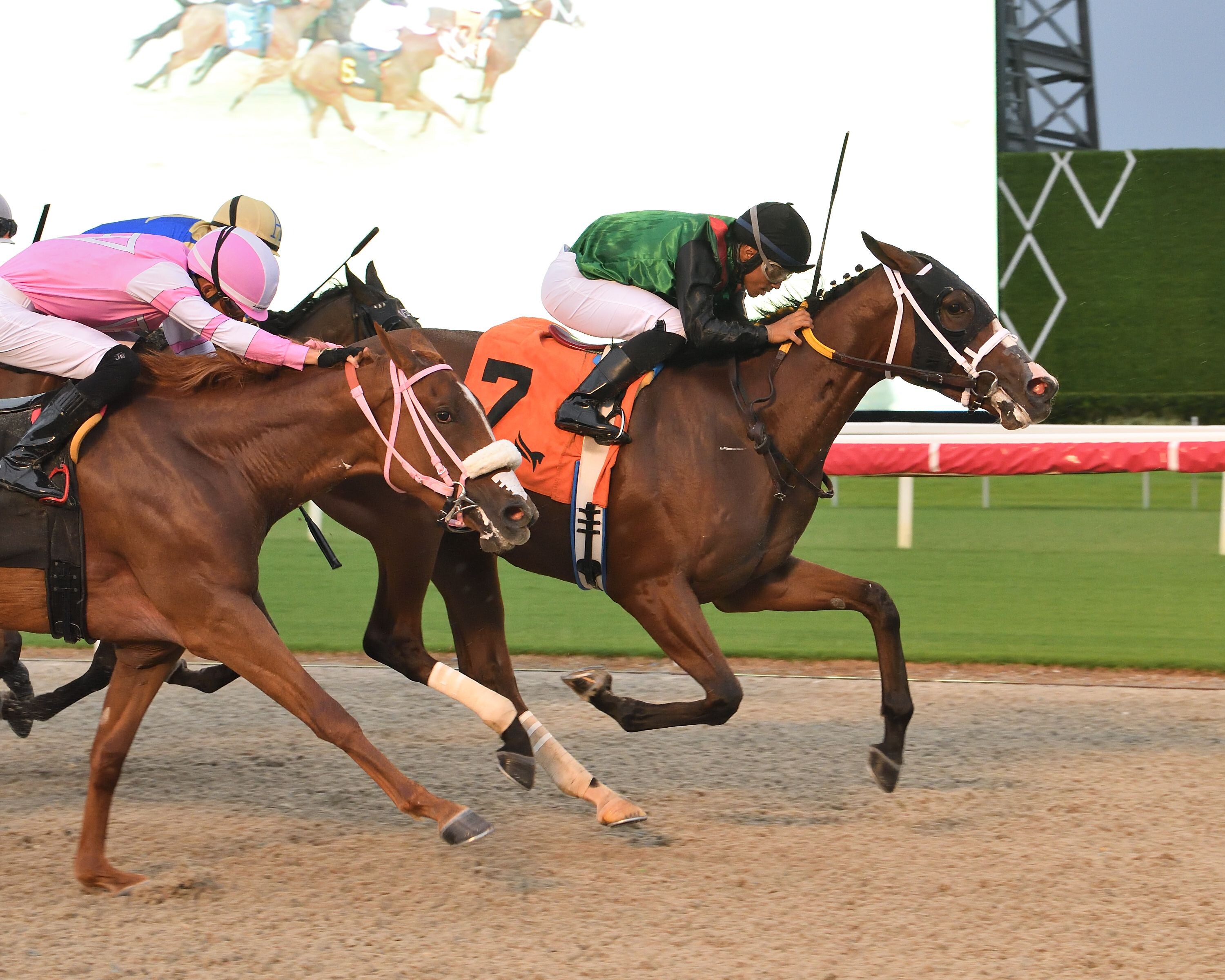 Dondona wins at Gulfstream Park.