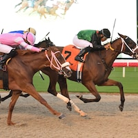 Dondona wins at Gulfstream Park.
