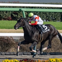 Danon Bourbon winning the Fukuryu at Nakayama.