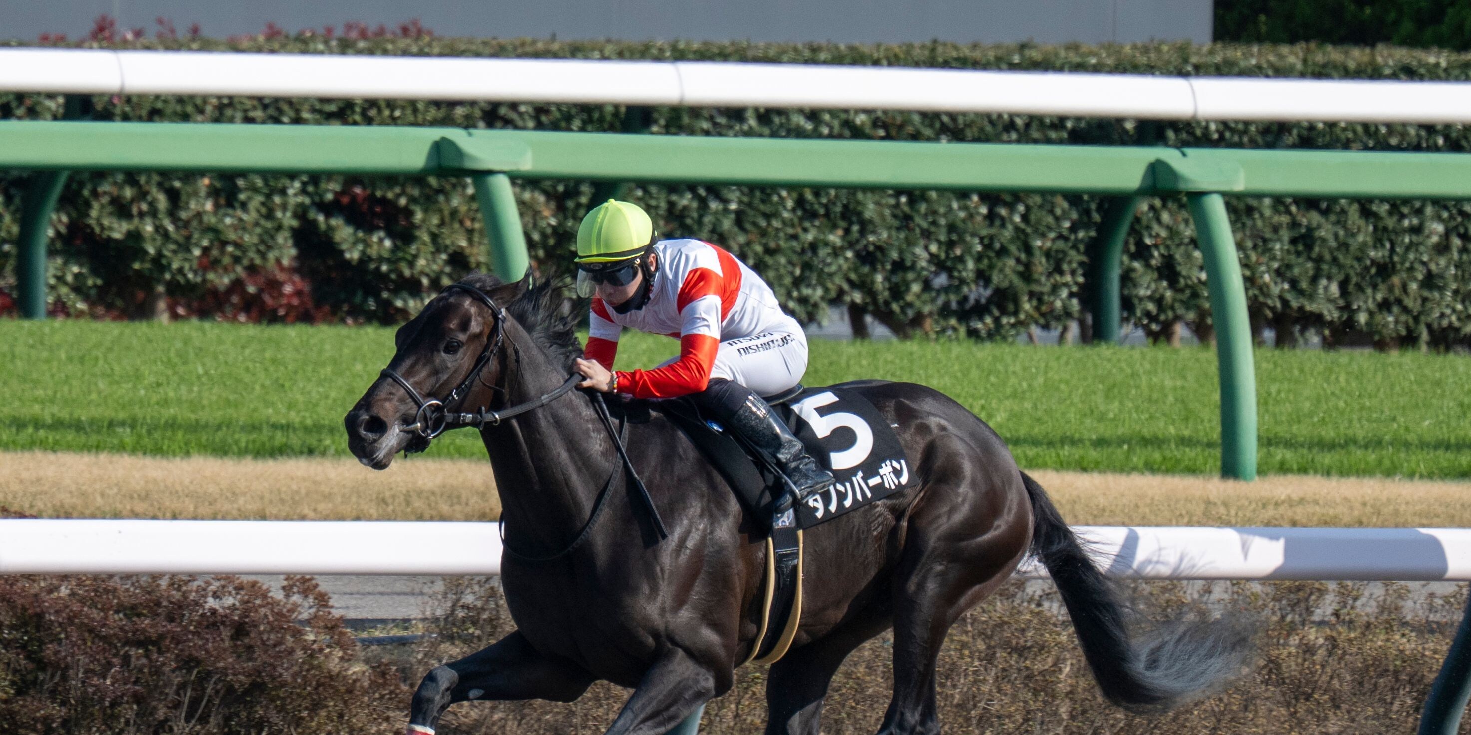 Danon Bourbon winning the Fukuryu at Nakayama.