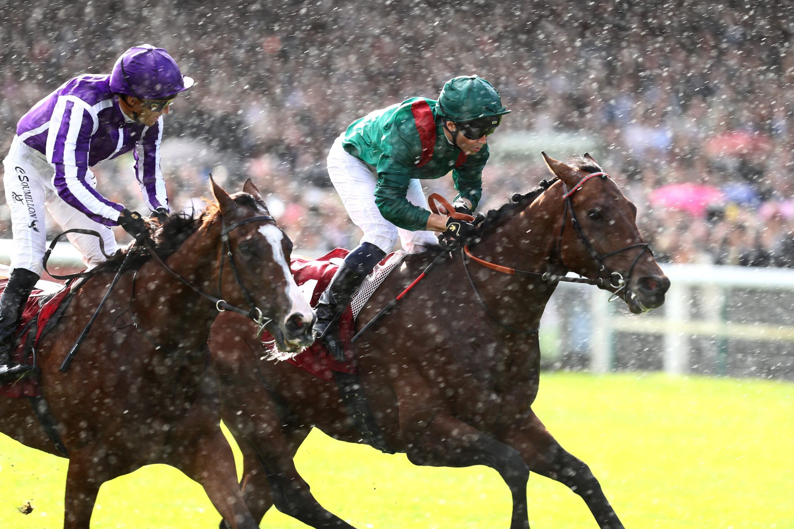 Daryz collars Minnie Hauk in the Prix de l'Arc de Triomphe (G1)
