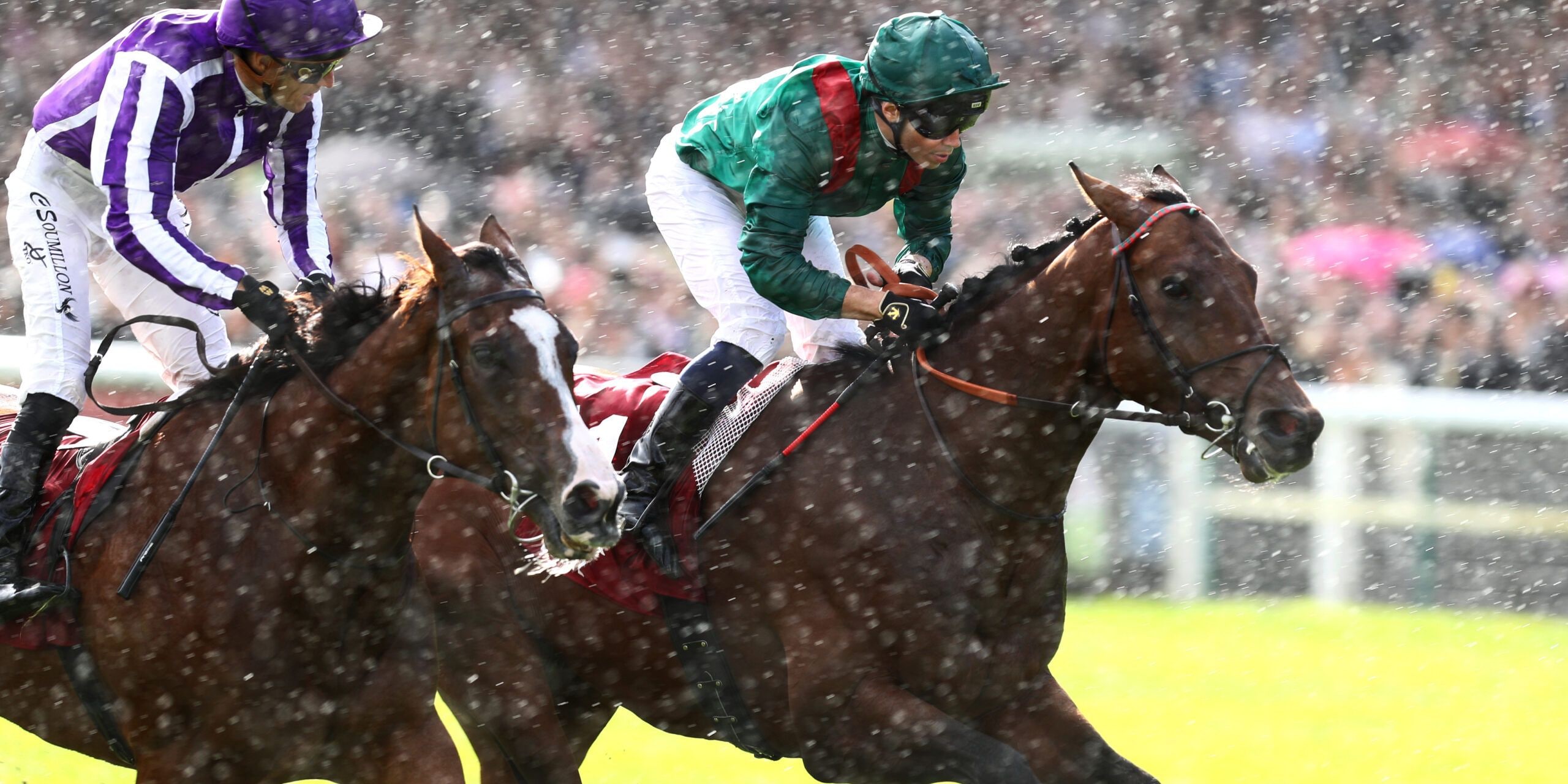 Daryz collars Minnie Hauk in the Prix de l'Arc de Triomphe (G1)