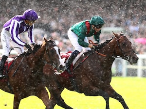 Daryz collars Minnie Hauk in the Prix de l'Arc de Triomphe (G1)