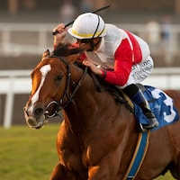 Data Link wins the 2012 Citation Handicap at Hollywood Park