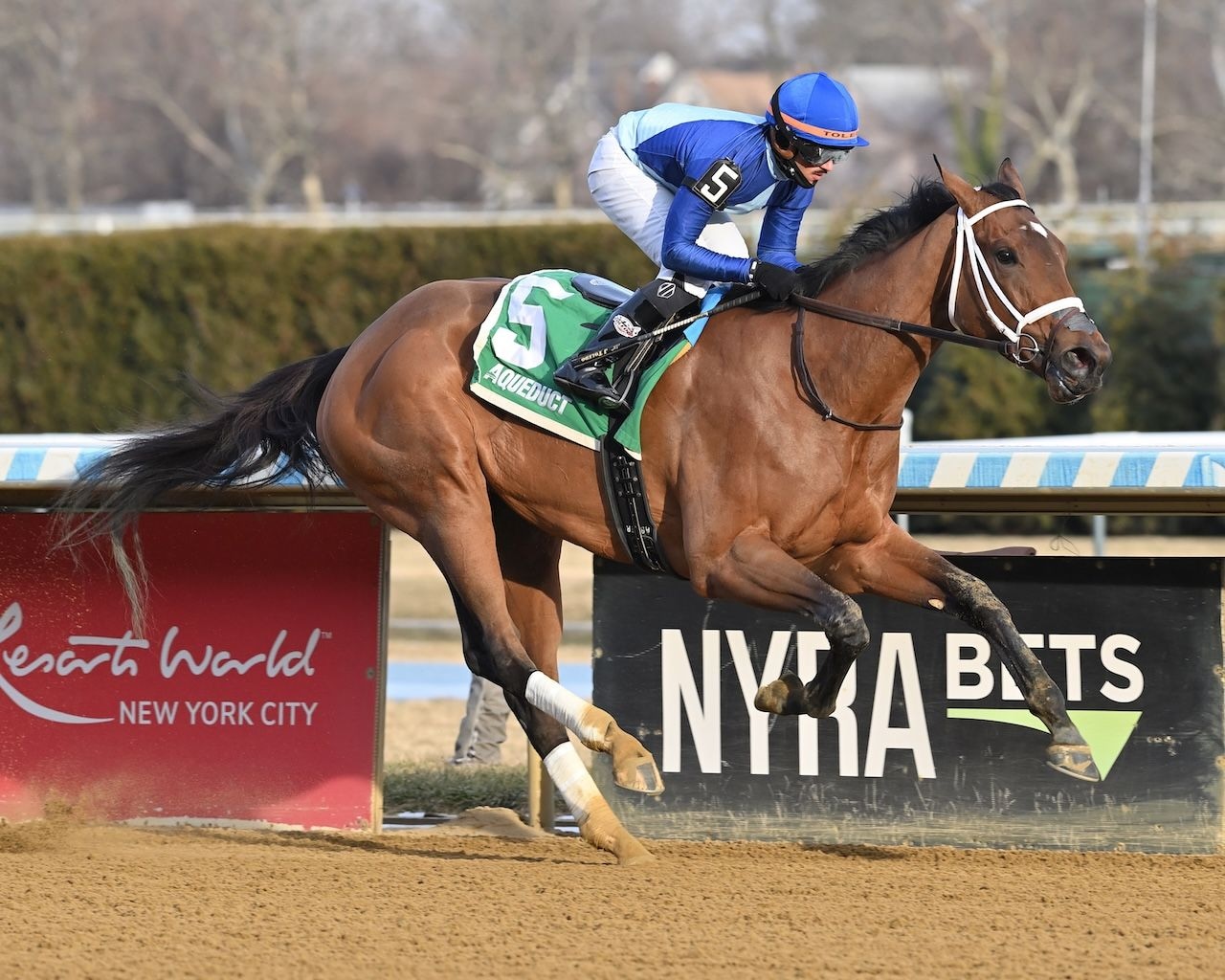 Dazzling Dame wins the Busanda Stakes at Aqueduct.