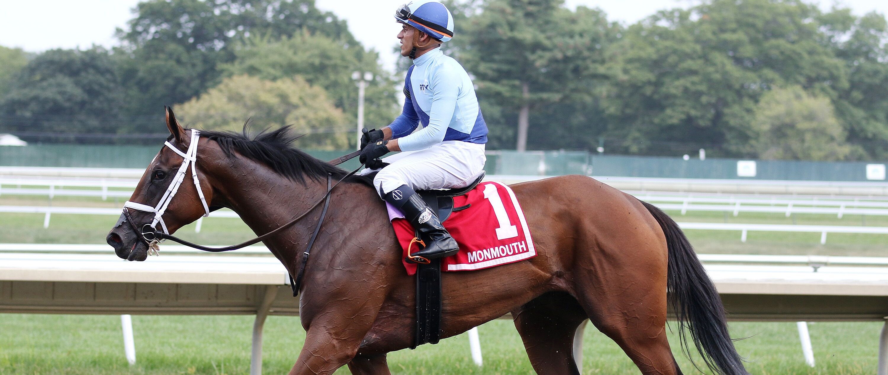 Dazzling Dame wins the Sorority at Monmouth.