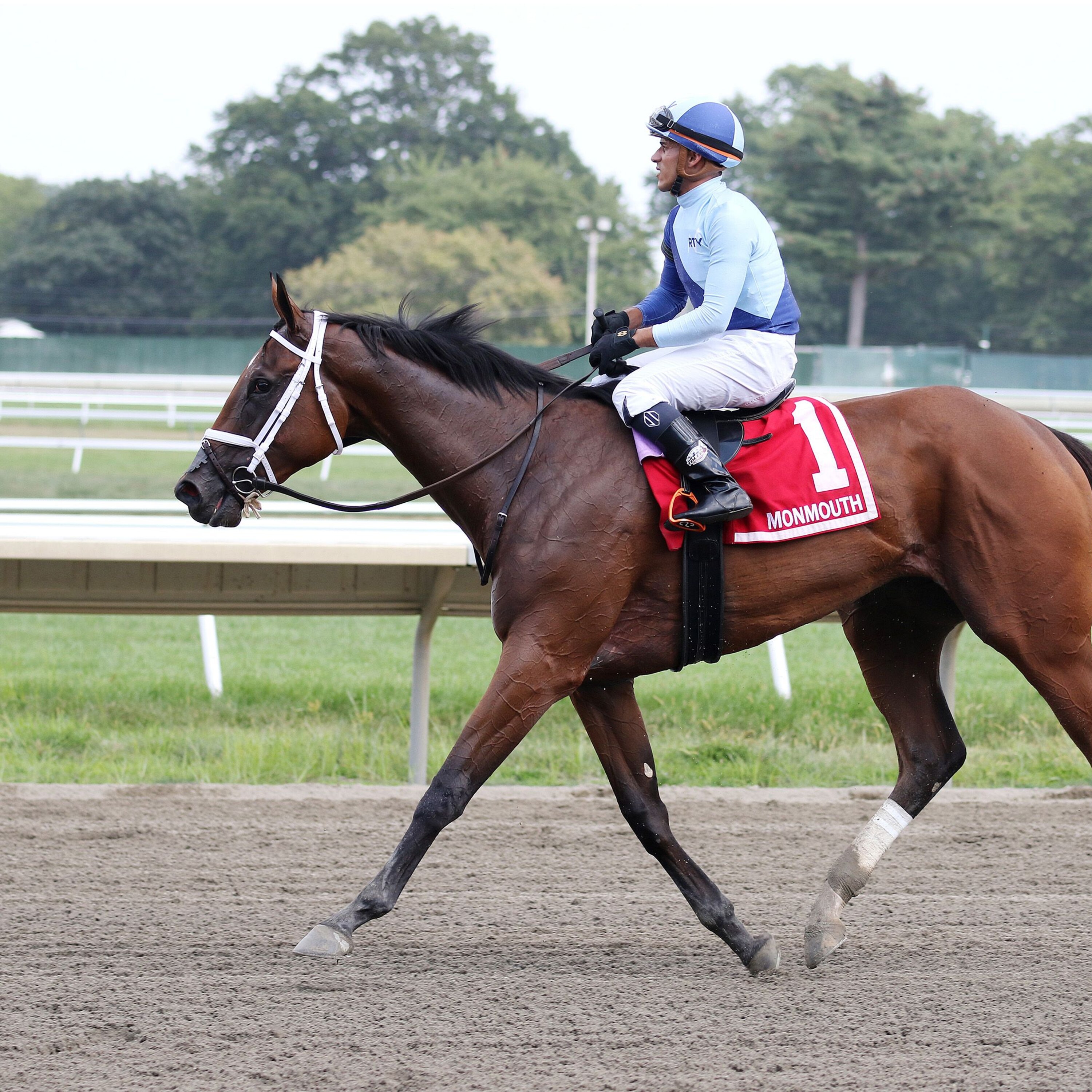 Dazzling Dame wins the Sorority at Monmouth.