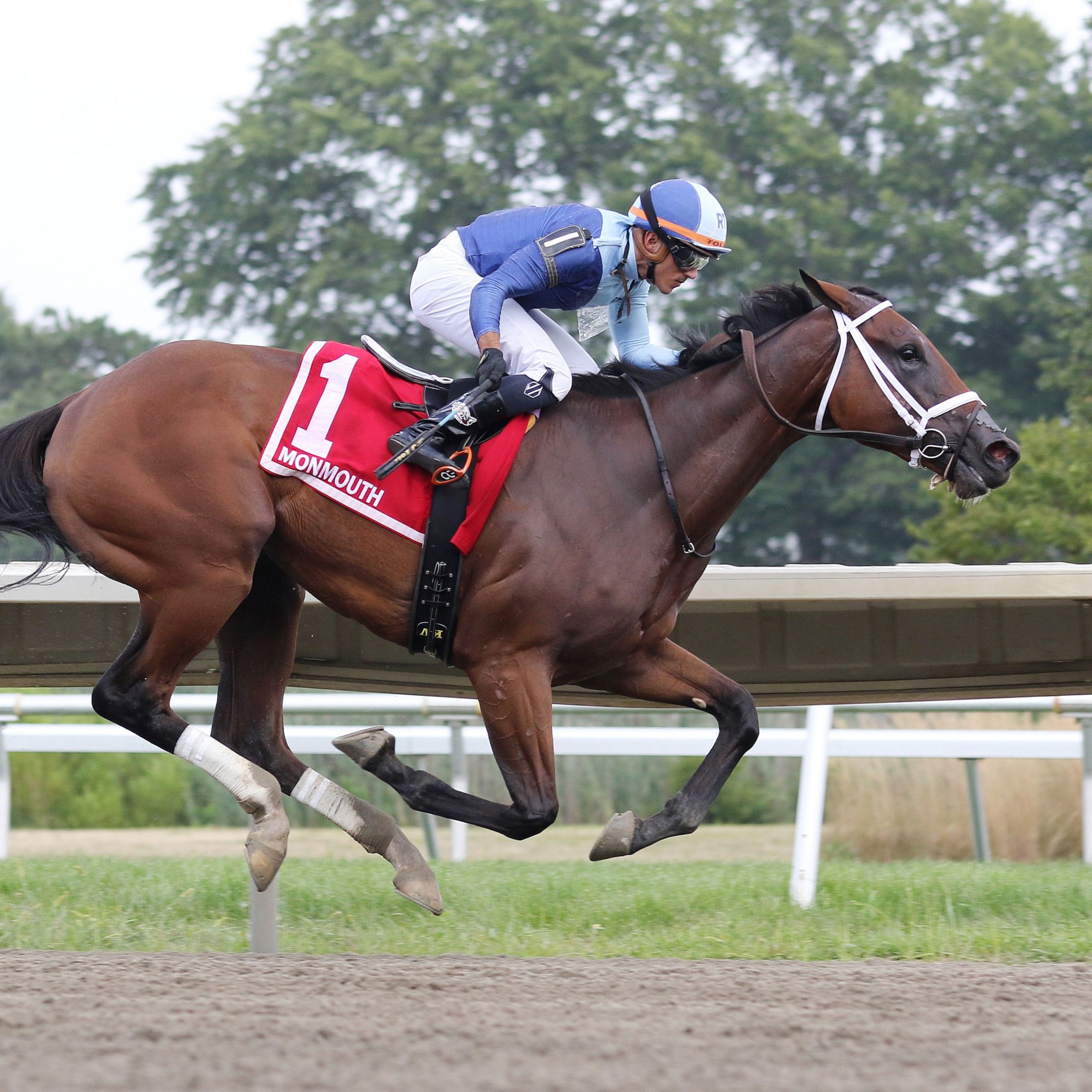 Dazzling Dame wins the Sorority at Monmouth.