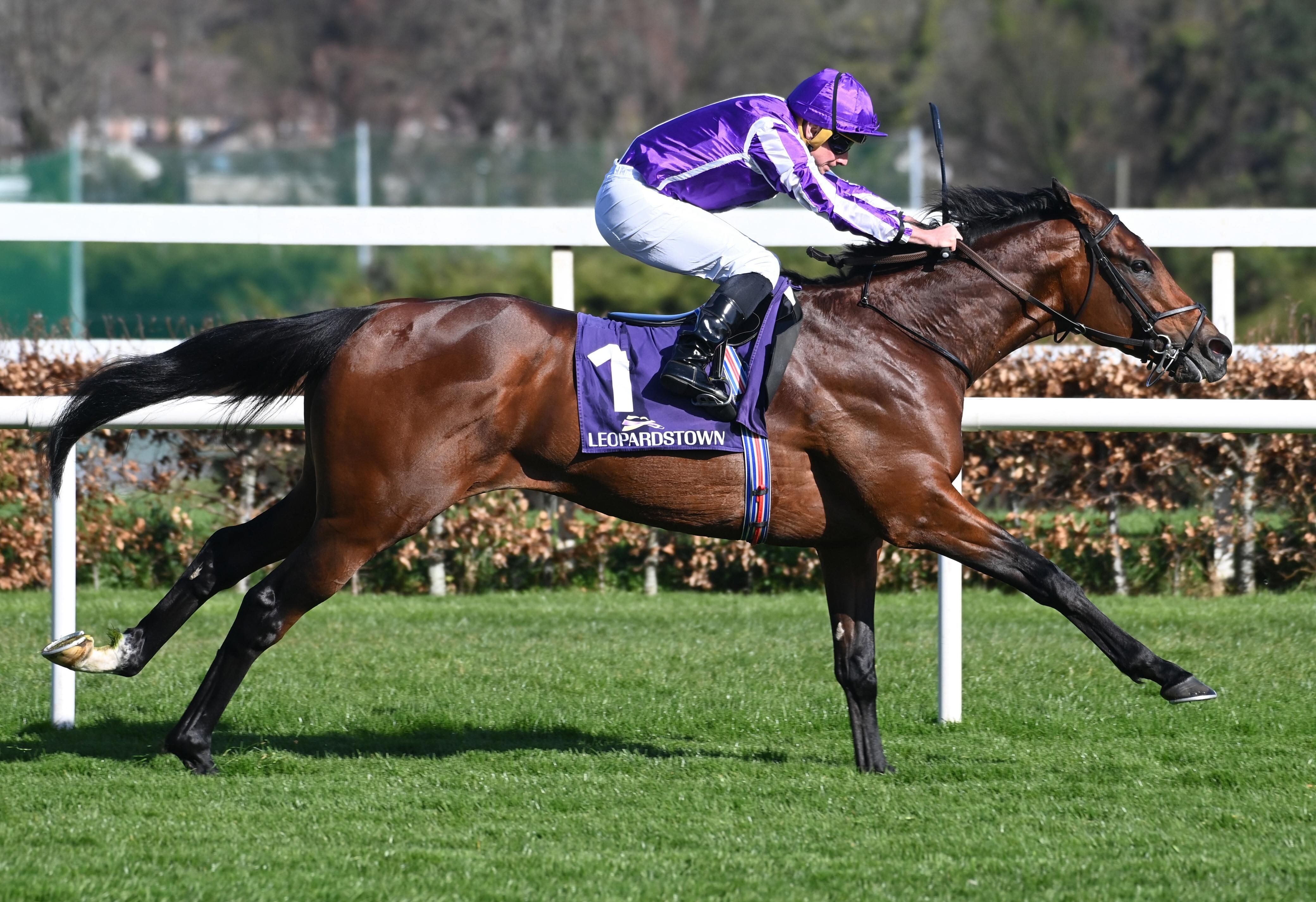 Delacroix shown winning the Ballysax (G3) at Leopardstown