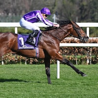 Delacroix shown winning the Ballysax (G3) at Leopardstown