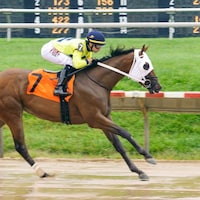 Racing at Delaware Park.