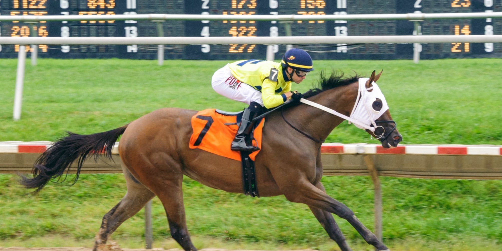Racing at Delaware Park.