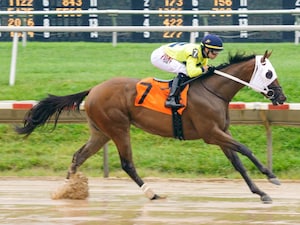 Racing at Delaware Park.