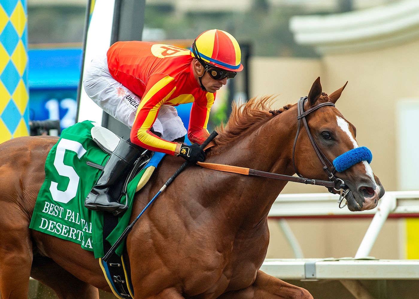 Desert Gate outclassed them in the Best Pal (G3)
