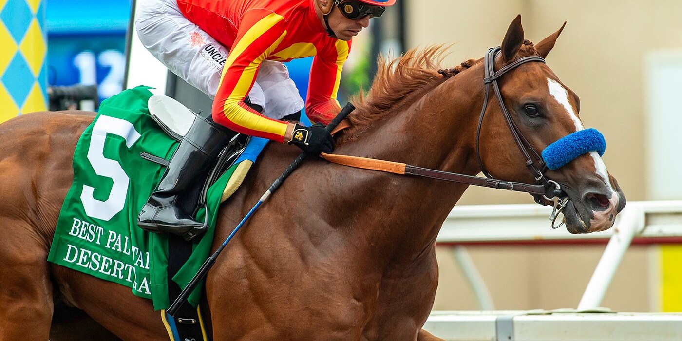 Desert Gate outclassed them in the Best Pal (G3)