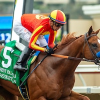 Desert Gate outclassed them in the Best Pal (G3)