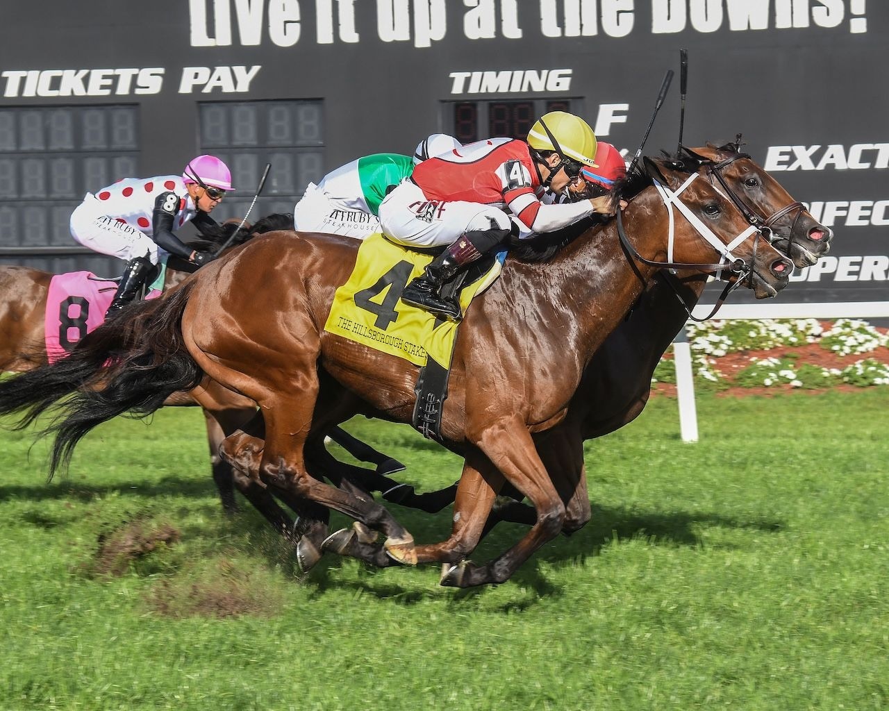 Destino D'Oro wins the Hillsborough at Tampa Bay Downs.