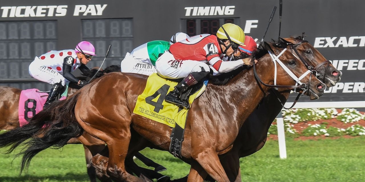 Destino D'Oro wins the Hillsborough at Tampa Bay Downs.