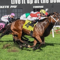 Destino D'Oro wins the Hillsborough at Tampa Bay Downs.