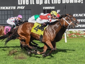 Destino D'Oro wins the Hillsborough at Tampa Bay Downs.