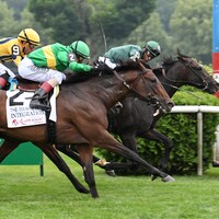 Deterministic just holds on from Integration in the Manhattan