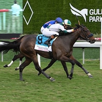 Didia winning the Pegasus World Cup Filly and Mare Turf (G2) at Gulfstream Park (Photo by Coglianese Photos/Lauren King)