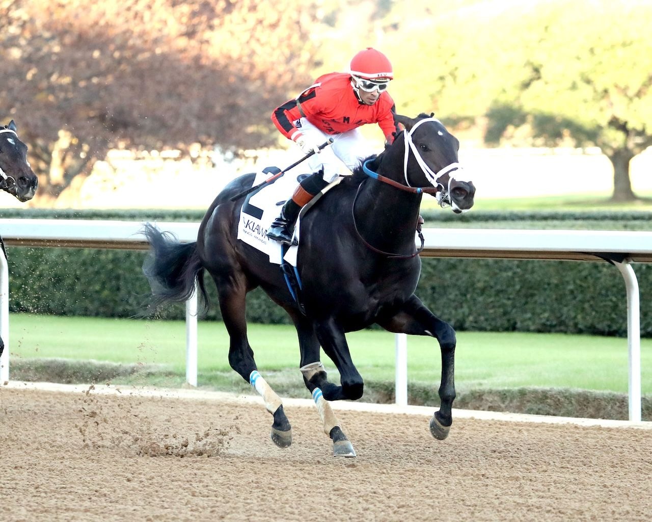 Dirty Rich wins the Adent Stakes at Oaklawn Park.