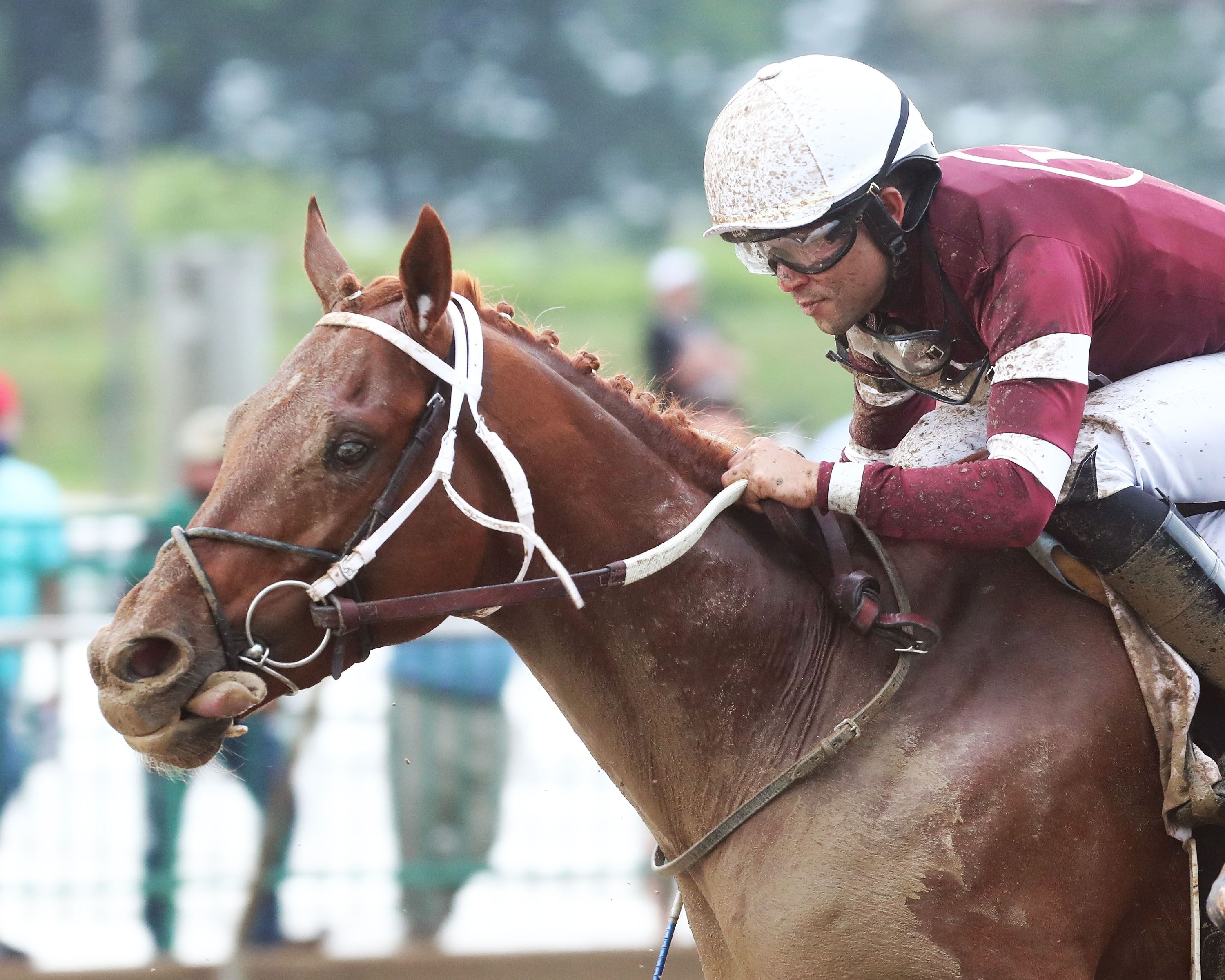 Disarm wins the 2023 Matt Winn