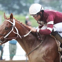Disarm wins the 2023 Matt Winn